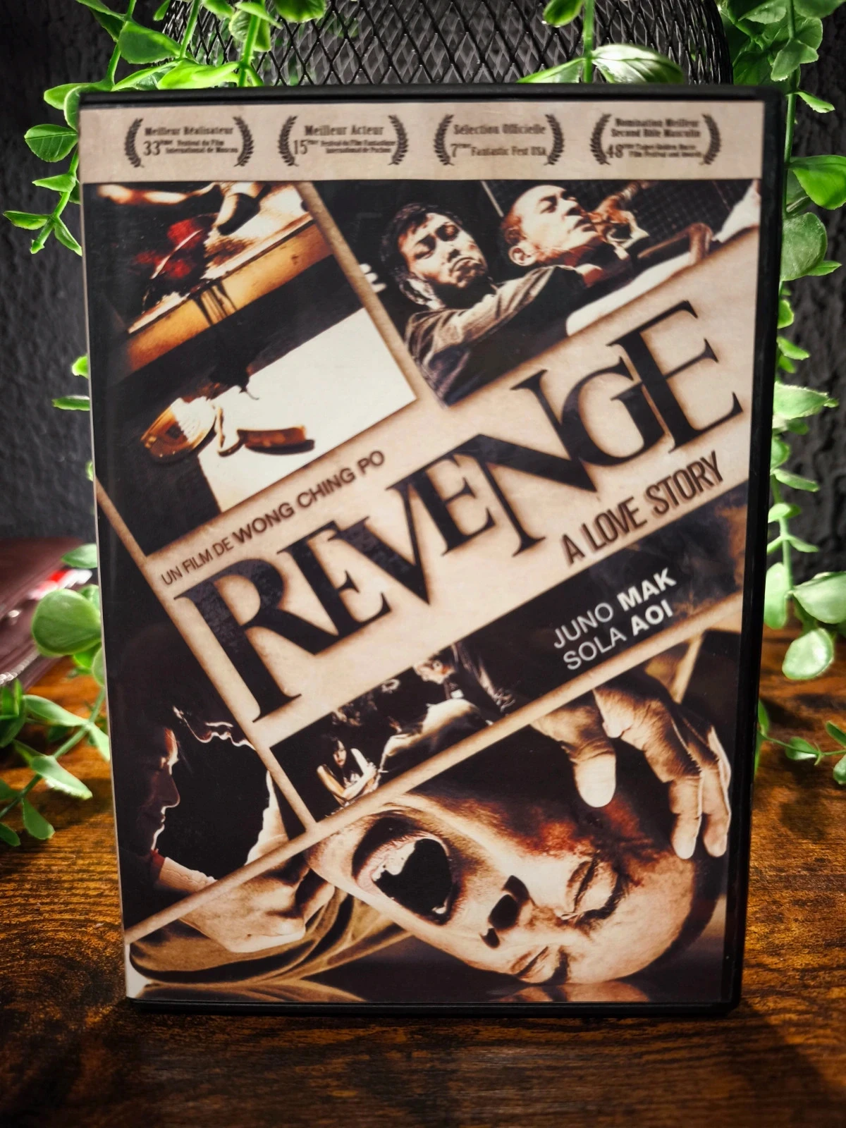 Revenge a love story